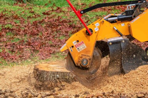 Tree Stump Grinding Services Nottinghamshire